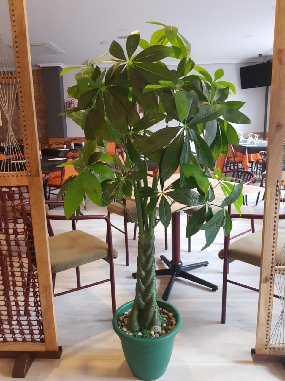 Hostal Restaurante El Abuelo Trobajo Del Camino 外观 照片